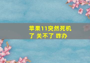 苹果11突然死机了 关不了 咋办